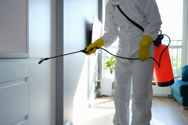 Best Attic Mold Remediation in Ross, OH